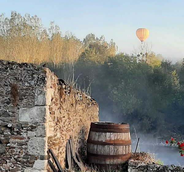 Visite du clos de vignes associatif La Pierre à Fourneau