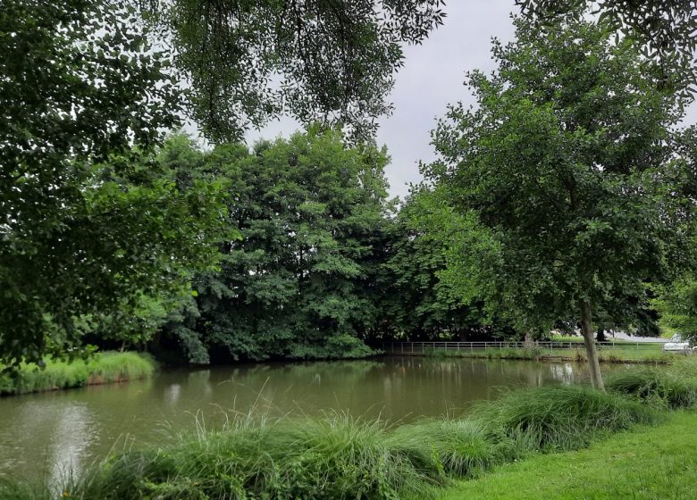 Aire de pique-nique Etang de La Salle-Aubry