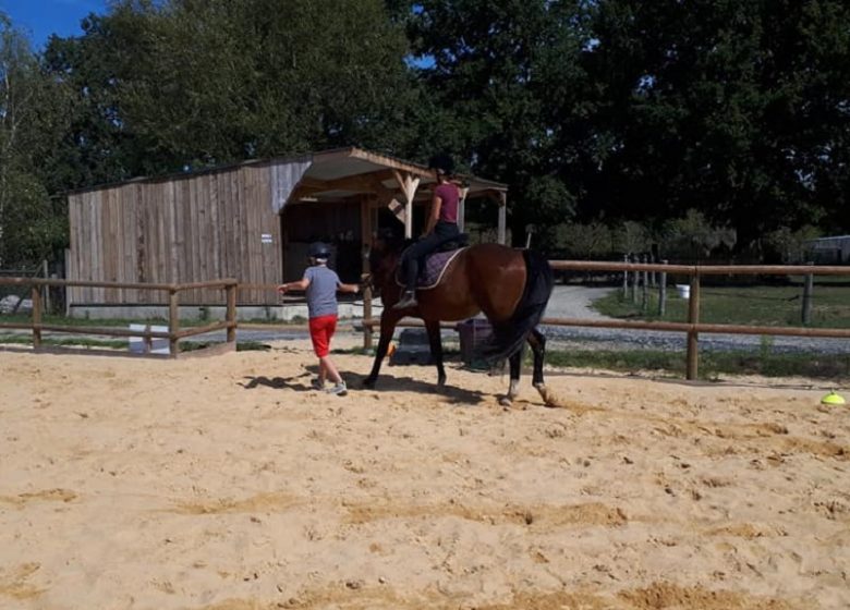 STAGE CAVALIER EN HERBE (4 À 6 ANS)