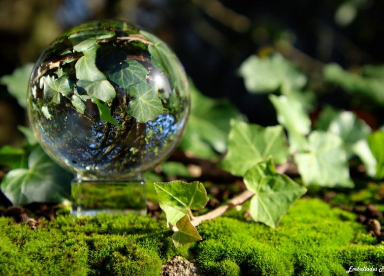 Balade photographique “Spécial lensball” à Montjean-sur-Loire