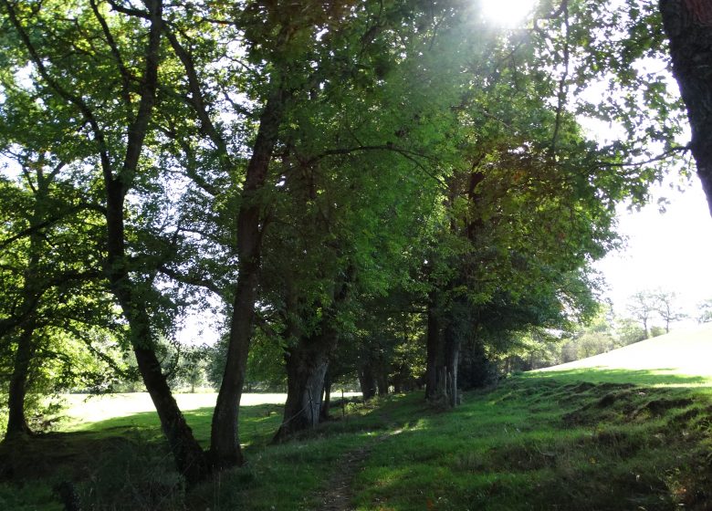 L’HYRÔME ET SES ANCIENS MOULINS