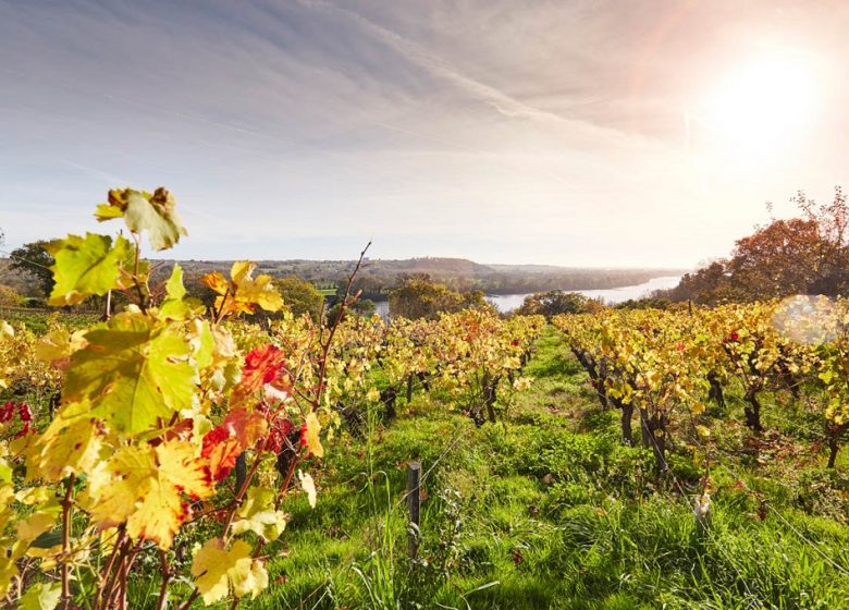 VERROU DU VAL DE LOIRE