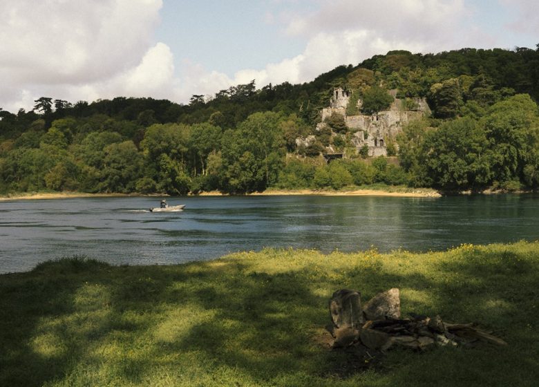 LA LOIRE À VÉLO (CHAMPTOCEAUX – MAUVES SUR LOIRE)