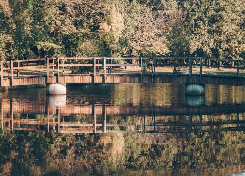 Etang de la Foucaudière