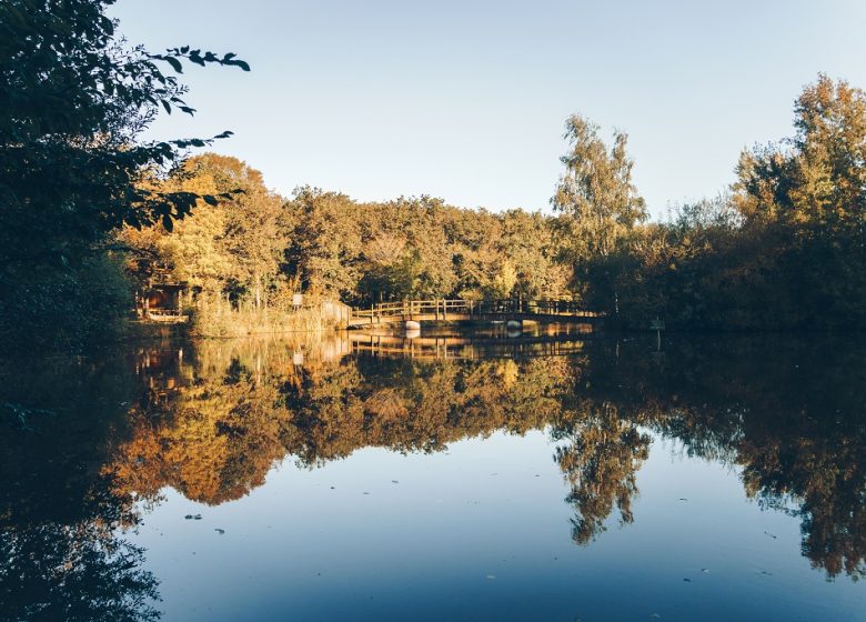 Etang de la Foucaudière