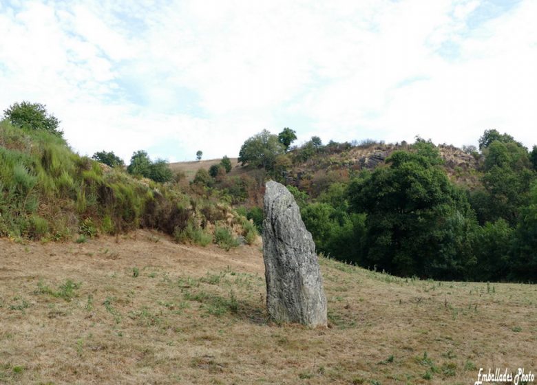 Randonnée photo “Les coteaux et la vallée de l’Evre” au Fief-Sauvin