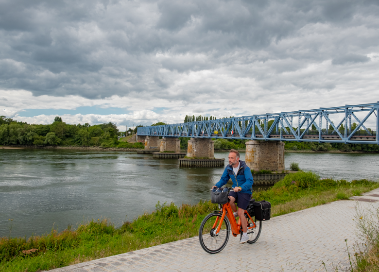 LA LOIRE À VÉLO (CHAMPTOCEAUX – MAUVES SUR LOIRE)