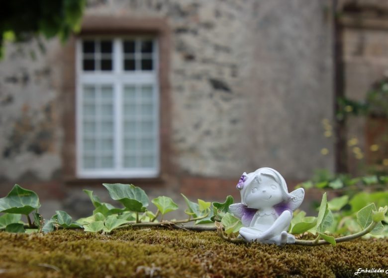 Balade photo “Spécial scénettes” dans le parc de Beaupreau