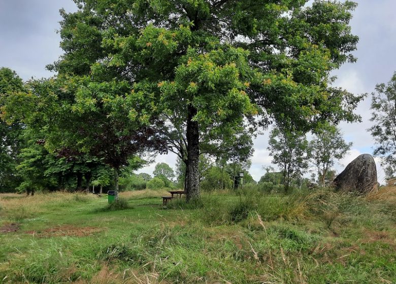 Aire de pique nique de l’Etang des Noues