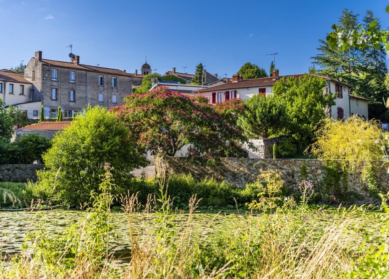 Pêche à la Pré de Saint Maurice