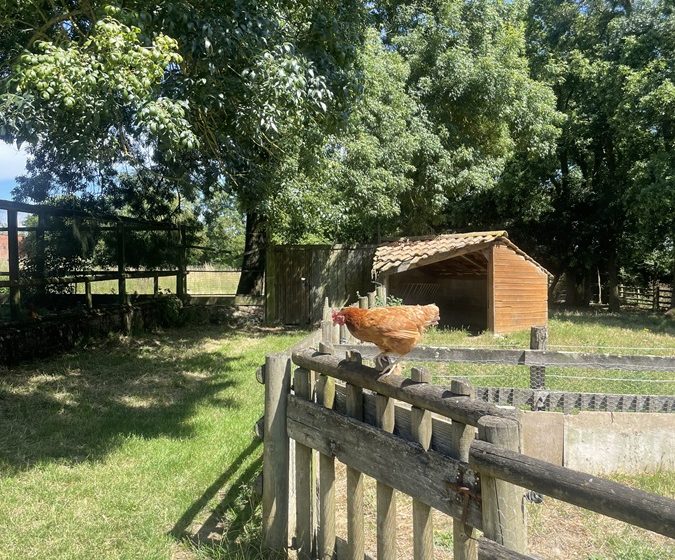 Ferme pédagogique de la Turmelière