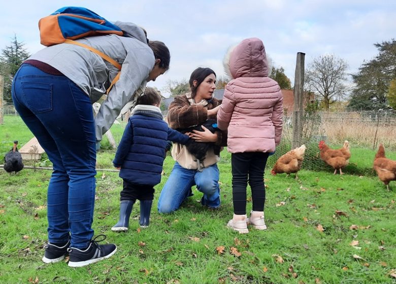 Visites guidées de la ferme pédagogique de la Turmelière