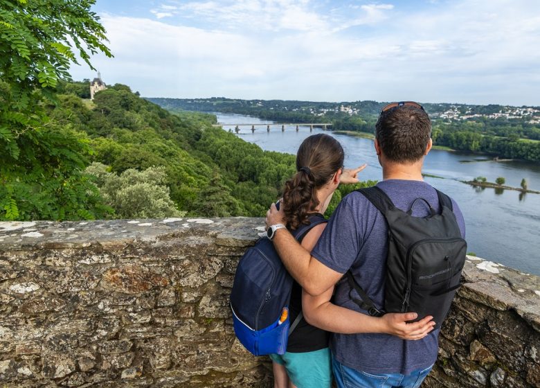 PANORAMA SUR LA LOIRE LE CHAMPALUD