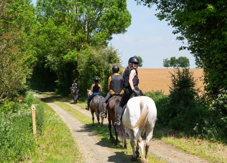 Haras de la Salmonière