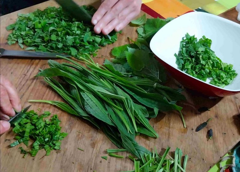 Stage plantes sauvages comestibles d’automne à Chemillé