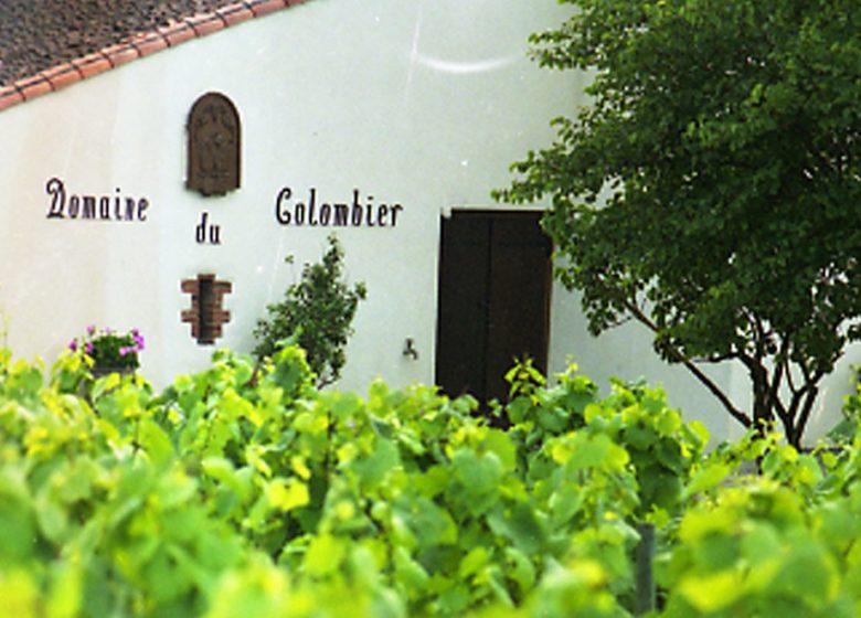 DOMAINE DU COLOMBIER