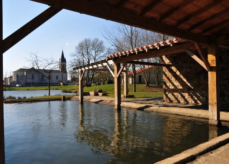 Aire de pique nique de l’étang de St André