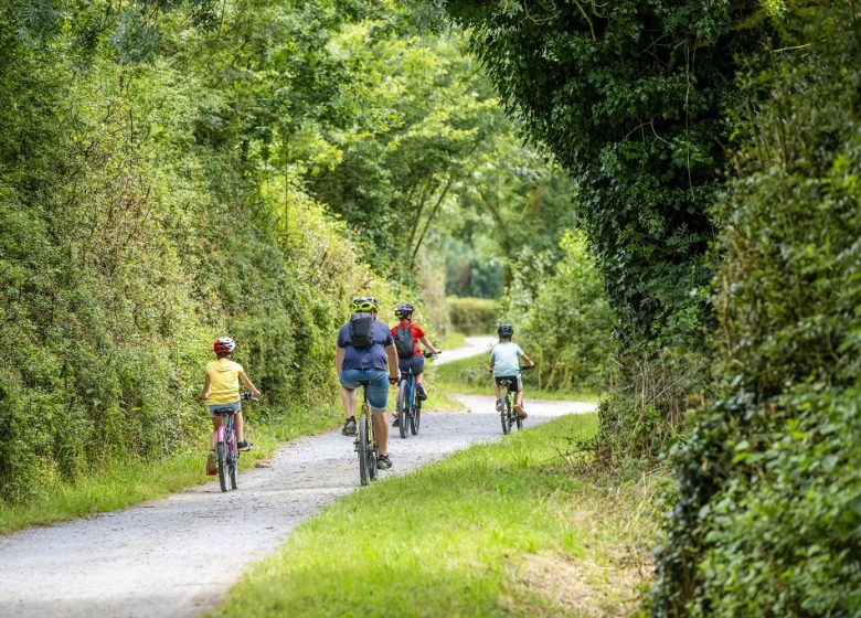 LA LOIRE À VÉLO (ST-FLORENT-LE-VIEIL – CHAMPTOCEAUX)