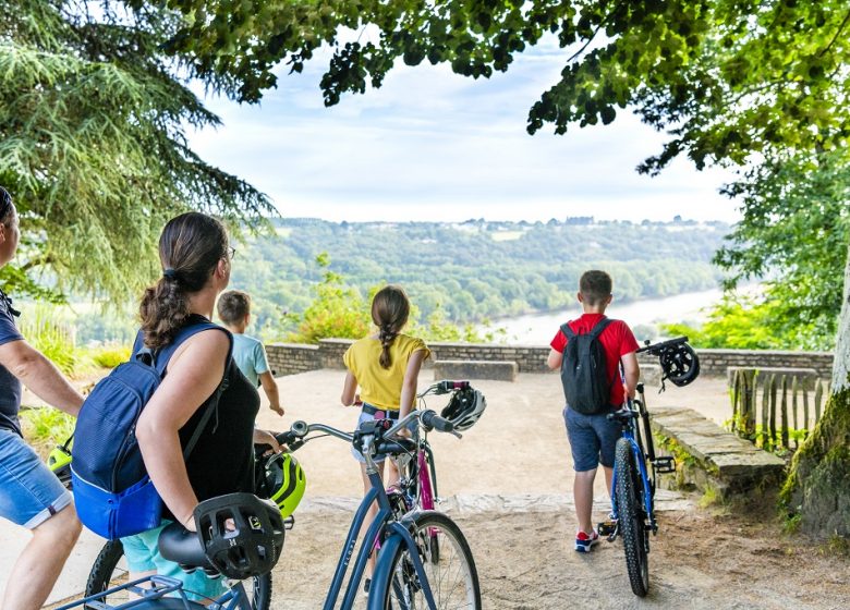 LA LOIRE À VÉLO (CHAMPTOCEAUX – MAUVES SUR LOIRE)