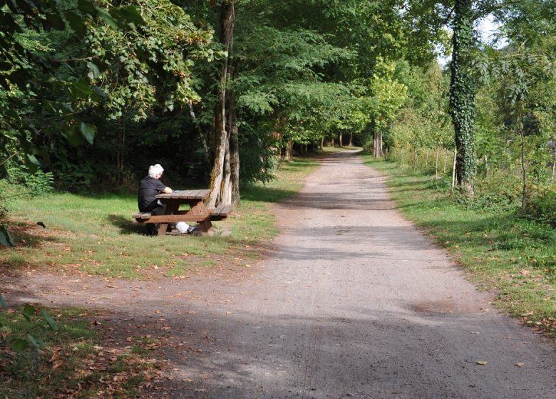 Pêche au chemin du Foulon