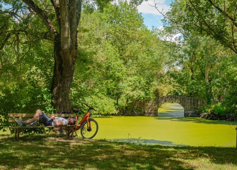 LA LOIRE À VÉLO (ST-FLORENT-LE-VIEIL – CHAMPTOCEAUX)