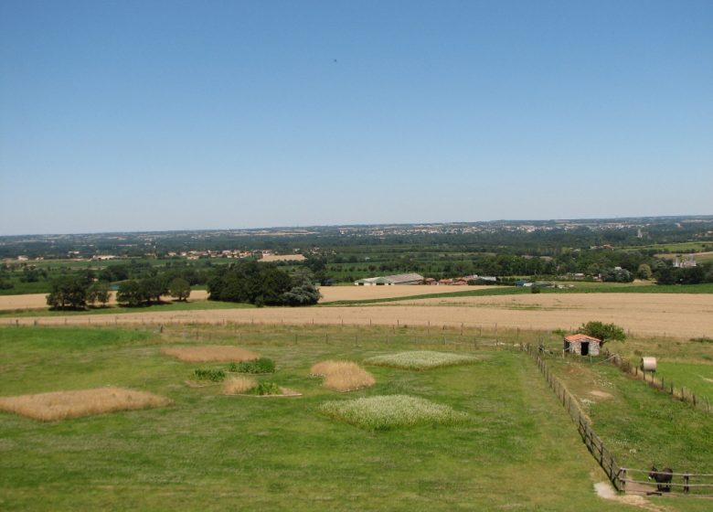 Aire de pique-nique aux abords du Moulin de l’Epinay