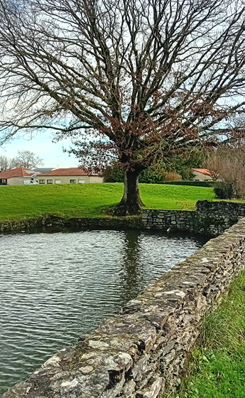 Pêche dans le plan d’eau de la Loge