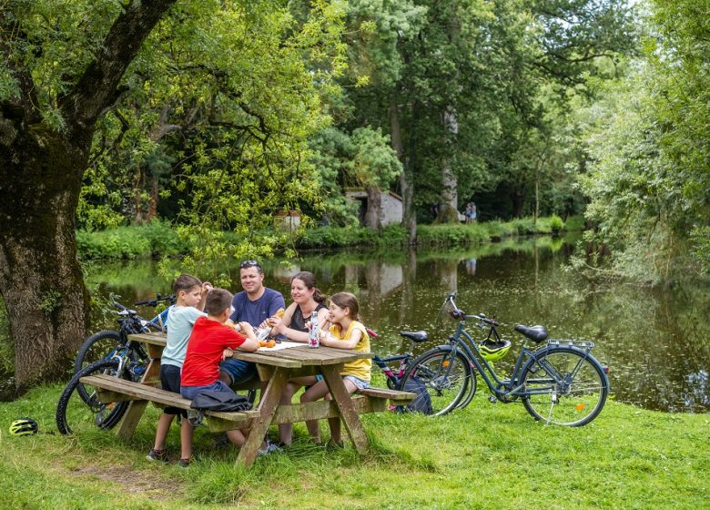 LA LOIRE À VÉLO (ST-FLORENT-LE-VIEIL – CHAMPTOCEAUX)