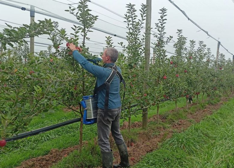 Le Verger de la Petite-Rainette