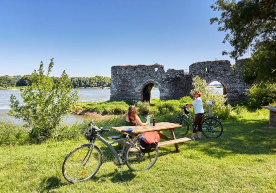 LA LOIRE À VÉLO (CHAMPTOCEAUX – MAUVES SUR LOIRE)