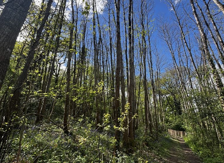 Sentier de la Garenne à Montjean-sur-Loire