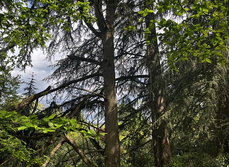 Sentier de la Garenne à Montjean-sur-Loire